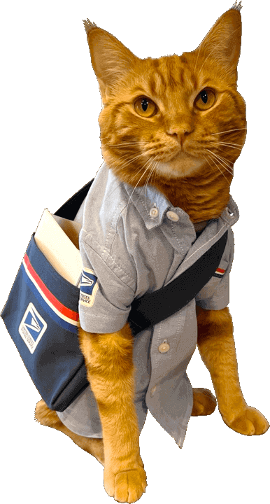 postman