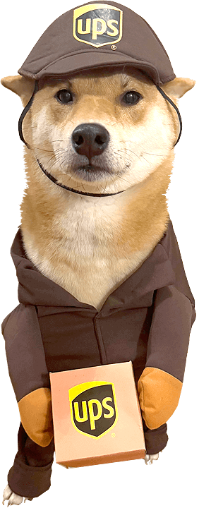UPS Delivery Dog